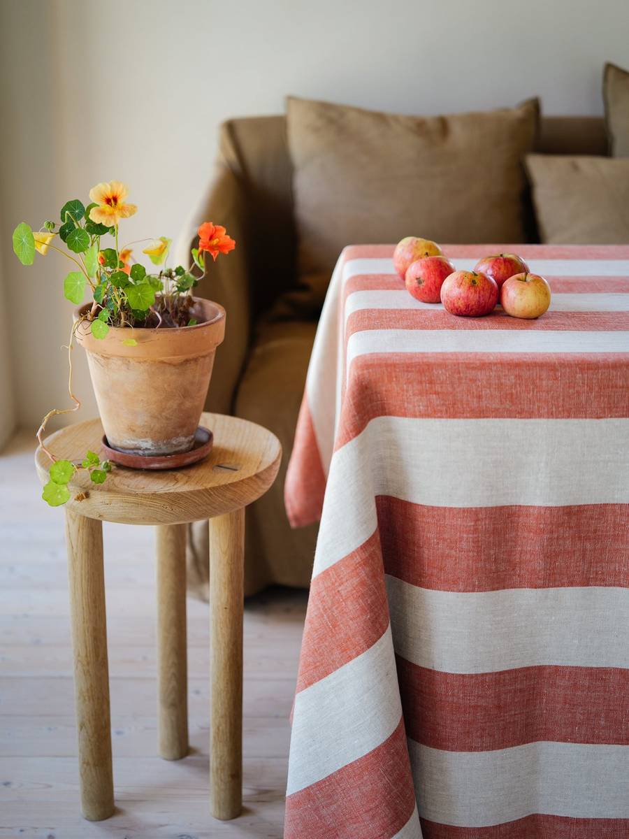 Apples on Venice Brick striped linen beside a terracotta flower pot