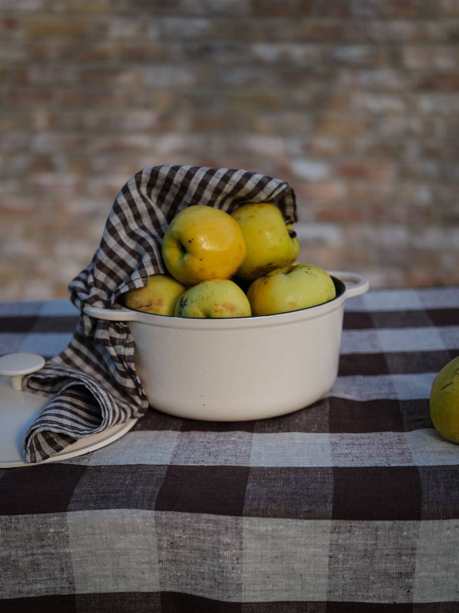 Choco Grand Check tablecloth with a gingham napkin and bowl of fruit