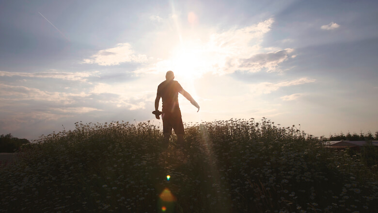 wildflower field - enjoy summer wildflower field - enjoy summer