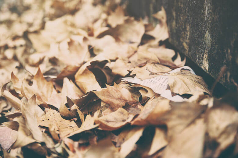 leaves-alternative-halloween