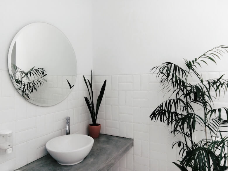 bathroom plants bathroom plants