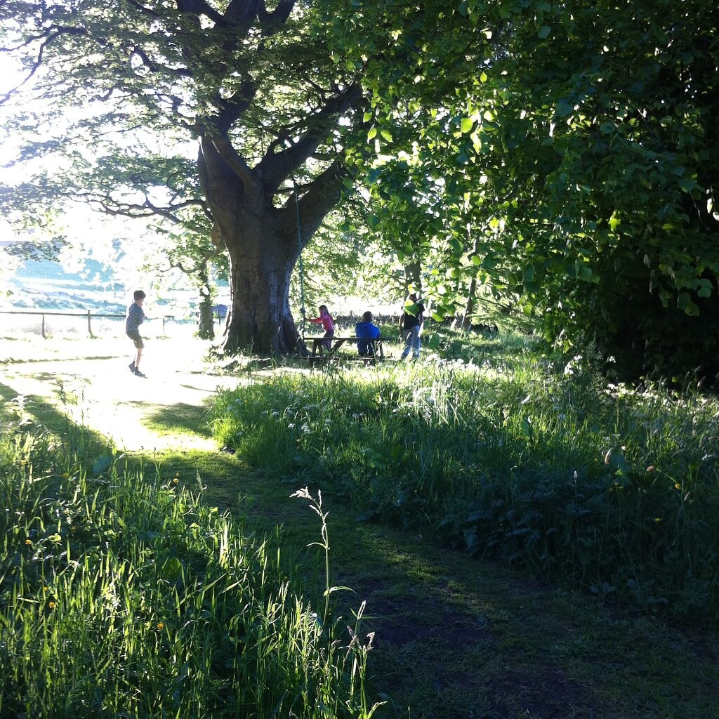 slow-living oak slow living oak