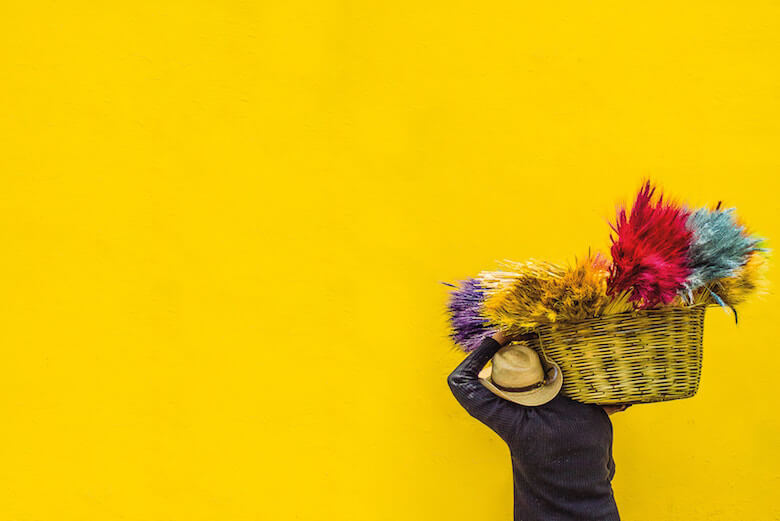 yellow color pop interior