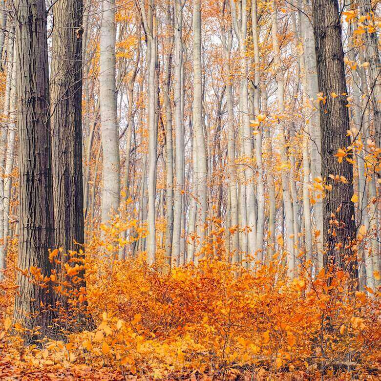 orange colour linen for fall