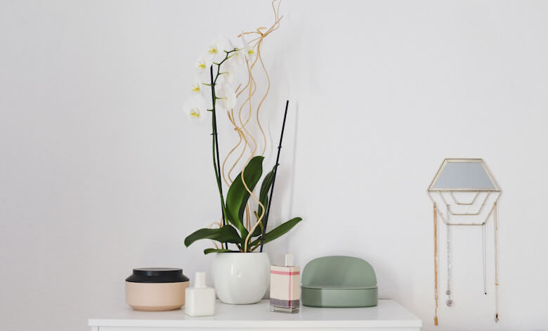 decorating bathroom plants decorating bathroom plants